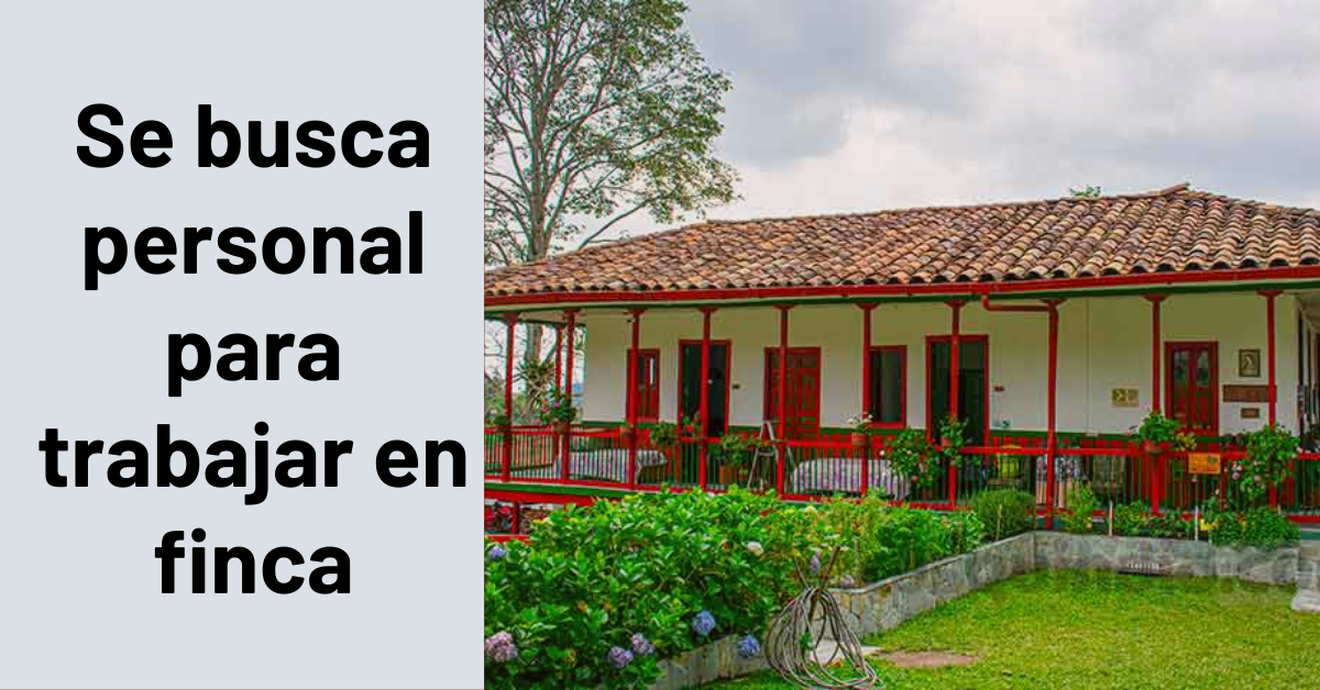 Se busca personal para trabajar en finca